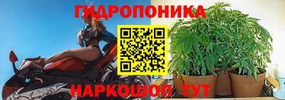 экстази Будённовск