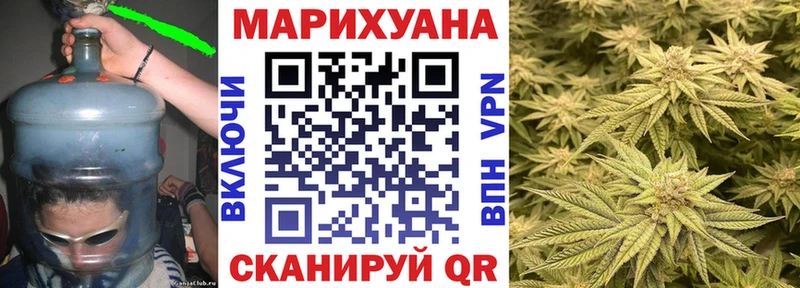 закладка Ковров Марихуана сатива